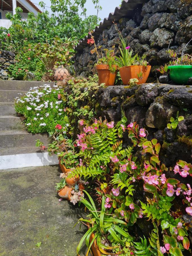 Villa Adega Da Figueira à Calheta de Nesquim Extérieur photo