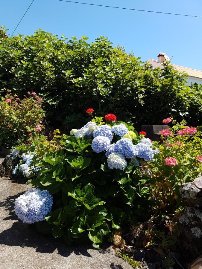 Villa Adega Da Figueira à Calheta de Nesquim Extérieur photo