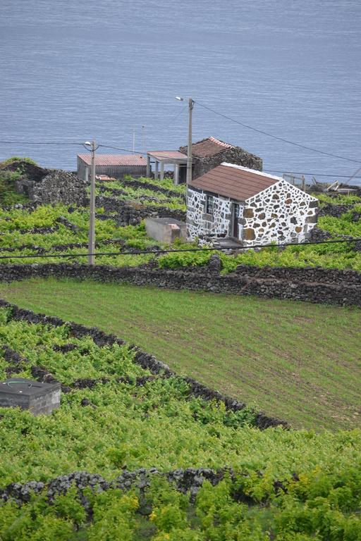 Villa Adega Da Figueira à Calheta de Nesquim Extérieur photo